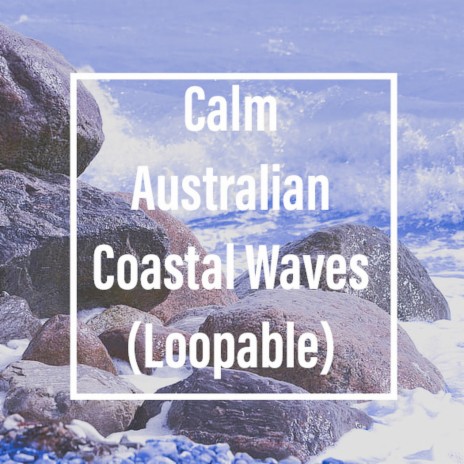 Calm Coastal Wave Relaxing F