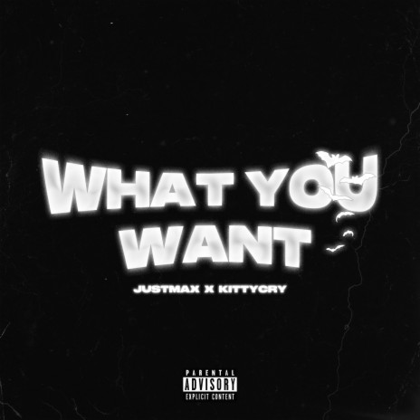 WHAT YOU WANT ft. KITTYCRY | Boomplay Music