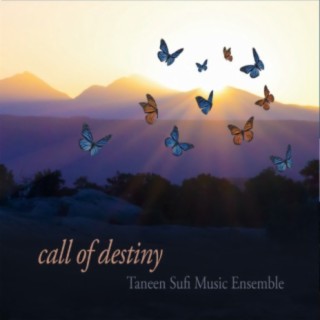 Taneen Sufi Music Ensemble