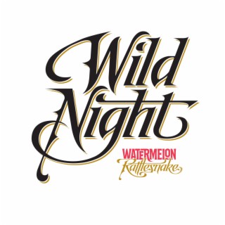 Wild Night lyrics | Boomplay Music