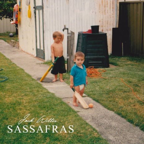 Sassafras | Boomplay Music