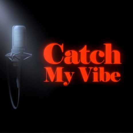 Catch My Vibe | Boomplay Music