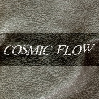 Cosmic Flow