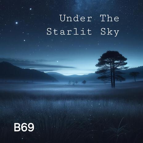 Under The Starlit Sky | Boomplay Music