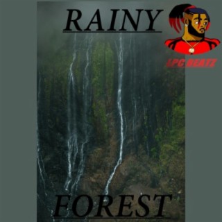 Rainy Forest