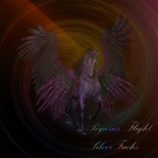 Pegasus Flight