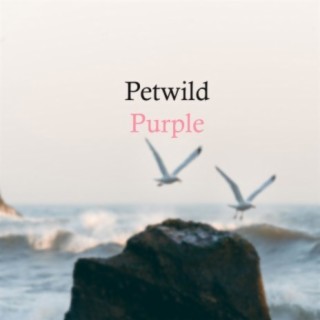 Petwild