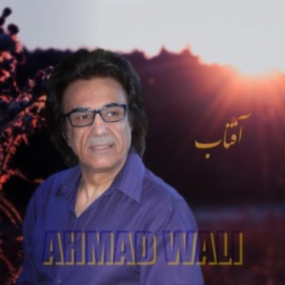 Ahmad Wali