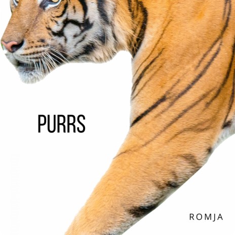 Purrs | Boomplay Music