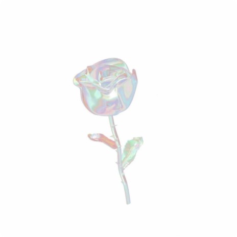 White Rose | Boomplay Music