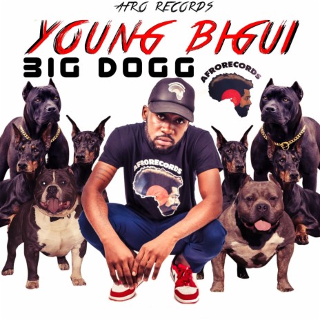 BIG DOGG ft. YOUNG BIGUI | Boomplay Music