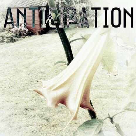 Anticipation | Boomplay Music