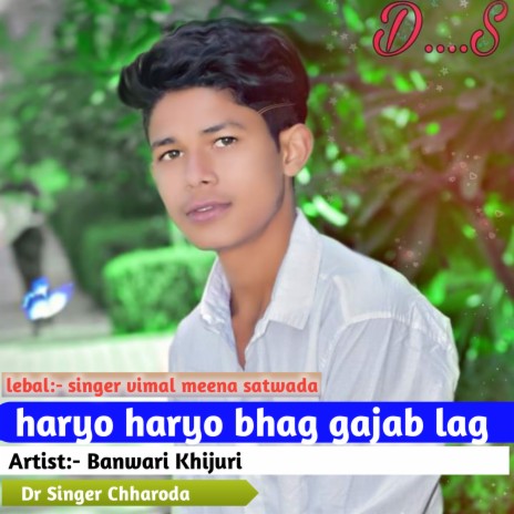 Haryo Haryo Bhag Gajab Lag (Hindi) ft. Banwari Khijuri | Boomplay Music