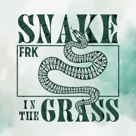 Snake In The Grass | Boomplay Music