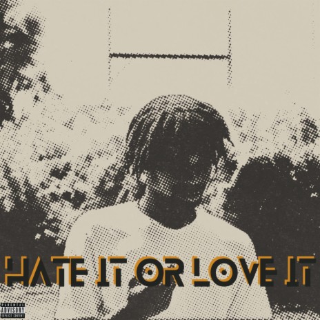 Hate it or Love It | Boomplay Music