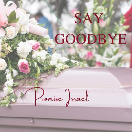 Say Goodbye | Boomplay Music