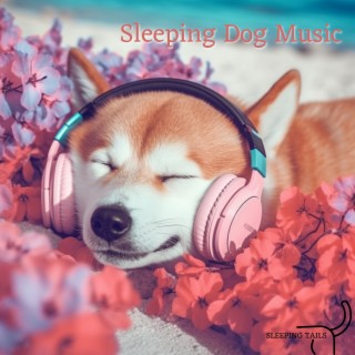 Sleeping Dog Music