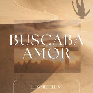 Buscaba Amor