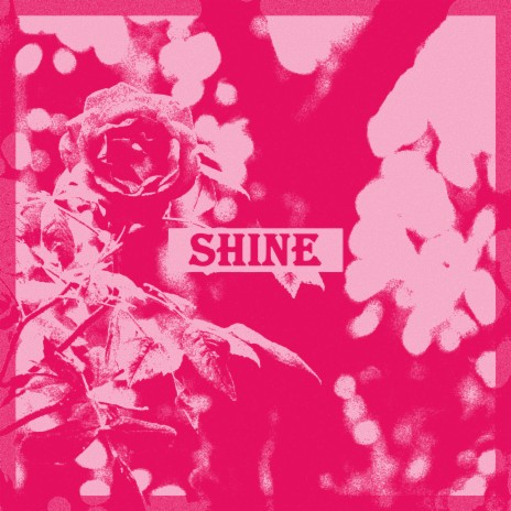 Shine ft. Cole The VII | Boomplay Music
