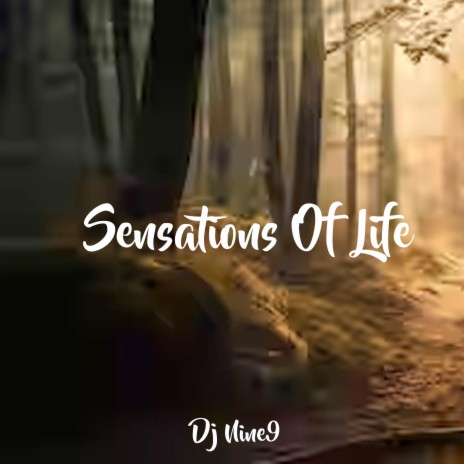 Sensations of Life | Boomplay Music