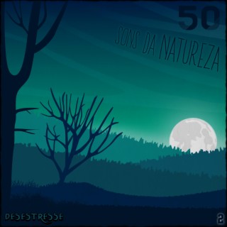 50 Sons da Natureza, Vol. 2