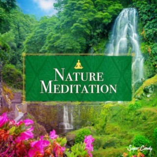 Nature Meditation