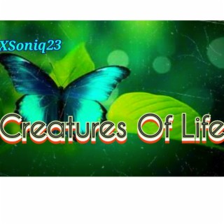 Creatures Of Life