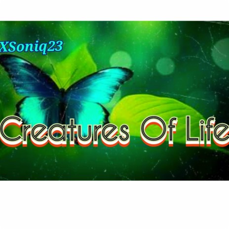 Creatures Of Life | Boomplay Music