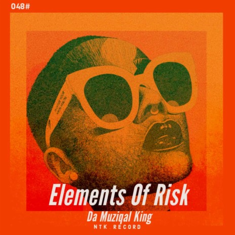 Elements Of Risk | Boomplay Music