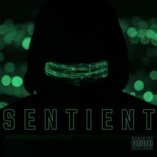 Sentient lyrics | Boomplay Music