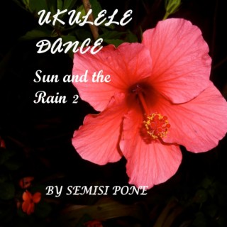 Sun and the Rain 2