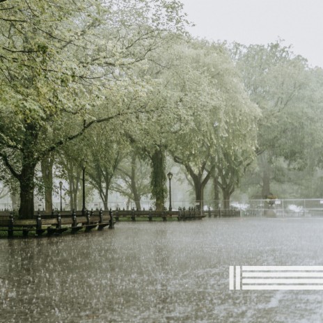 Welness Rain ft. Rain Sounds Temple & Sounds of Nature Zone | Boomplay Music