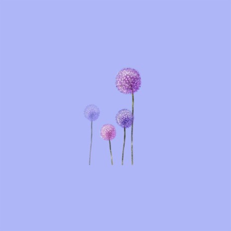 Dandelions | Boomplay Music