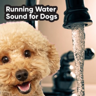 Running Water Sound for Dogs