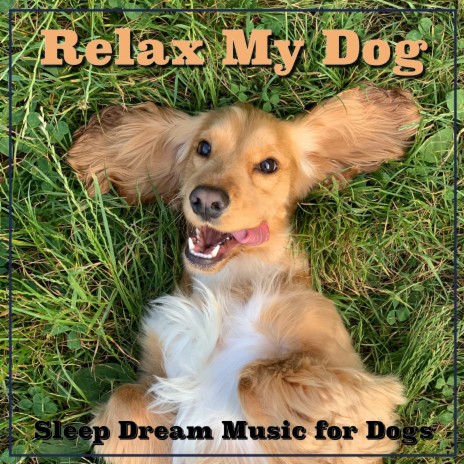 Puppy Sleep Dreams ft. Sleep Music Dreams & Dog Music