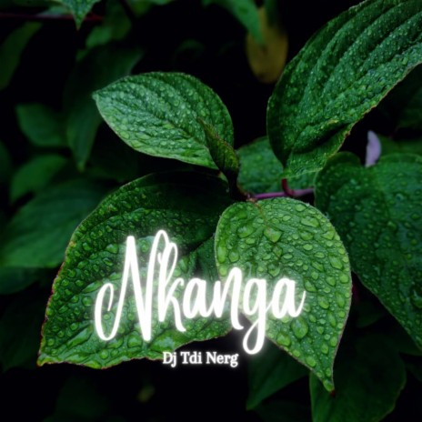 Nkanga | Boomplay Music