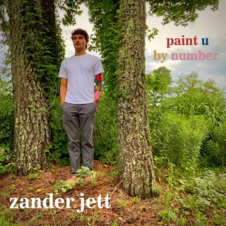 paint u by number