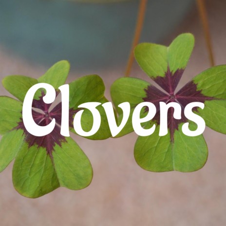 Clovers | Boomplay Music