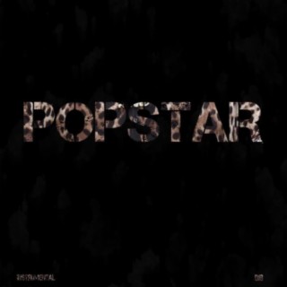 Popstar (Instrumental)