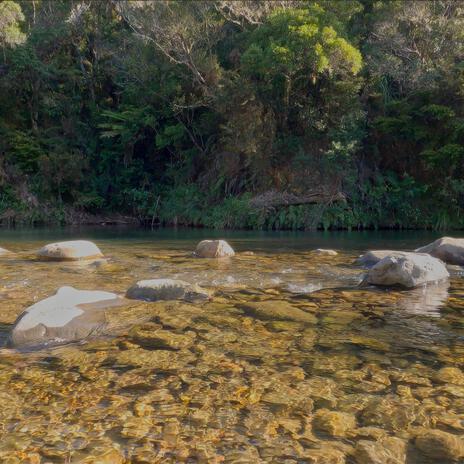 Gentle Stream Flow