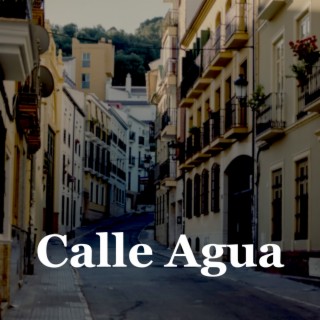 Calle Agua ft. Álvaro Cebrián & Fernando Cebrián lyrics | Boomplay Music
