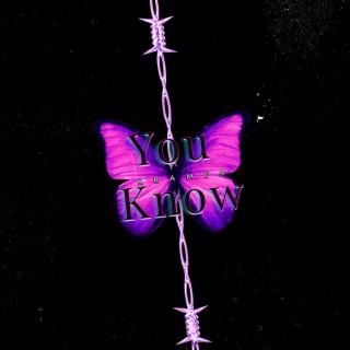 You Know (Radio Edit)