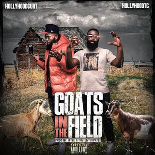 Goats In The Field