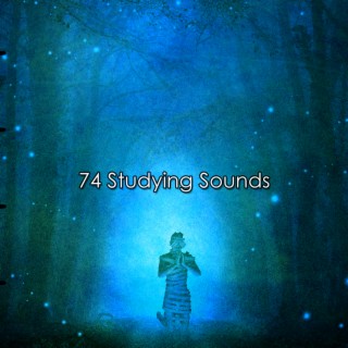 74 Étudier les sons (2022 Inquiet pour rien Records)