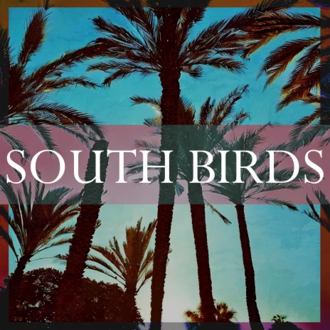 South Birds