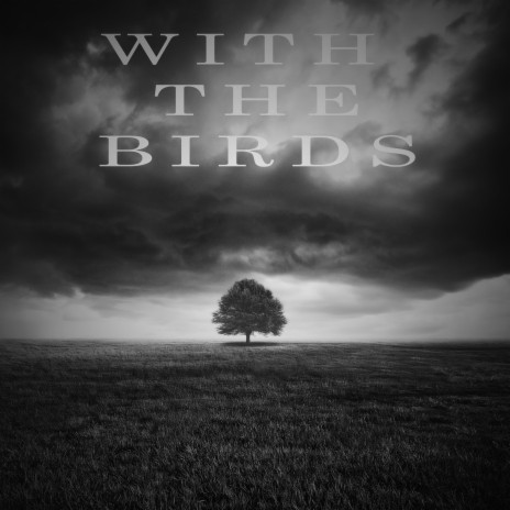 With the Birds | Boomplay Music