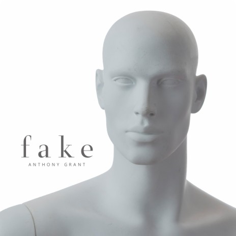 Fake | Boomplay Music