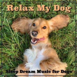 Relax My Dog: Sleep Dream Music for Dogs