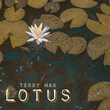 Lotus | Boomplay Music