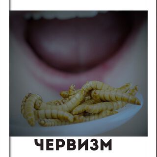 Червизм